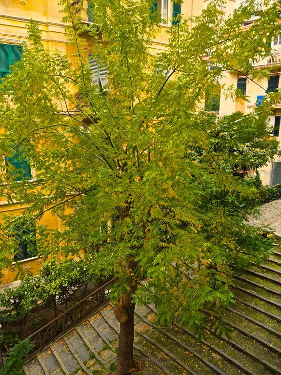 B&B Cernaia 42 La Spezia Eksteriør bilde